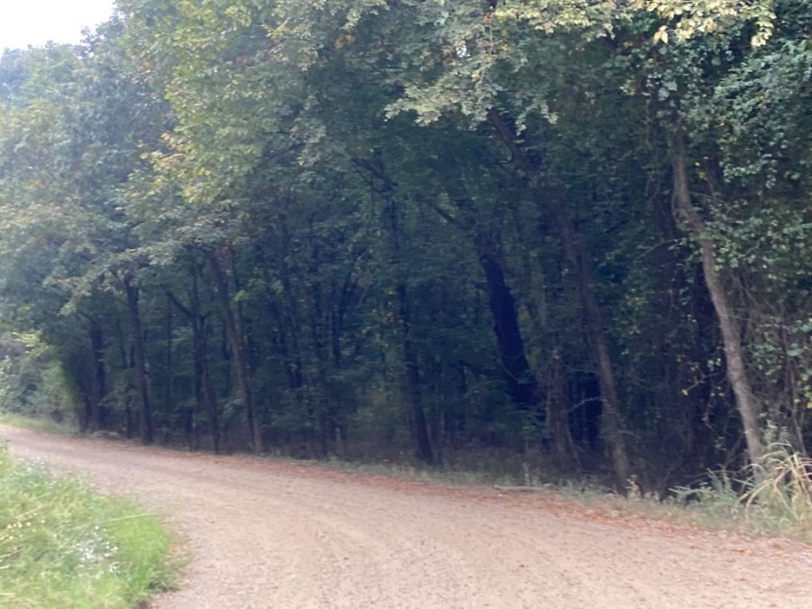 County Road 1640 , Knoxville, AR 72845