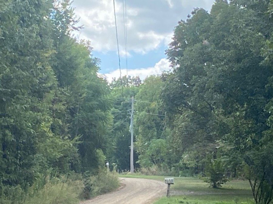 County Road 1640 , Knoxville, AR 72845 #1