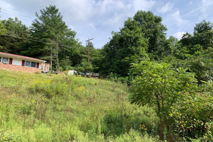 Tomlinson Rd, Pennington Gap, VA 24277 #1