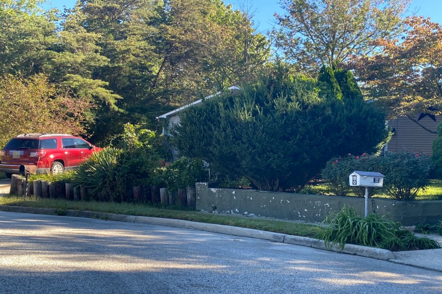 Andrea Ct, Sicklerville, NJ 08081 #1