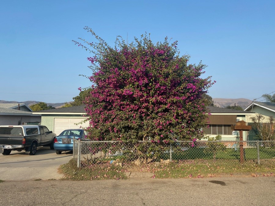 Kent St, Nipomo, CA 93444