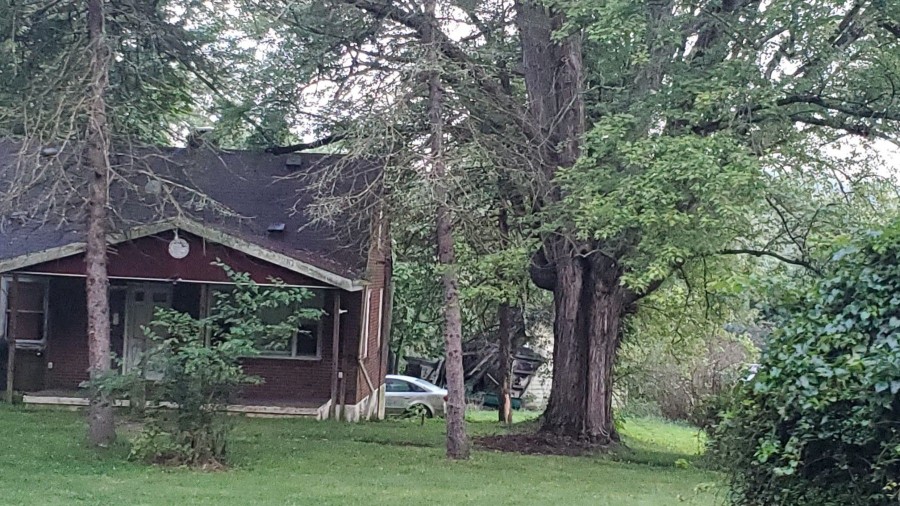 Van Meter Rd, Rostraver Township, PA 15012 #1
