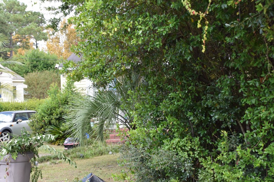 Woodlawn Ave, Wilmington, NC 28401 #1