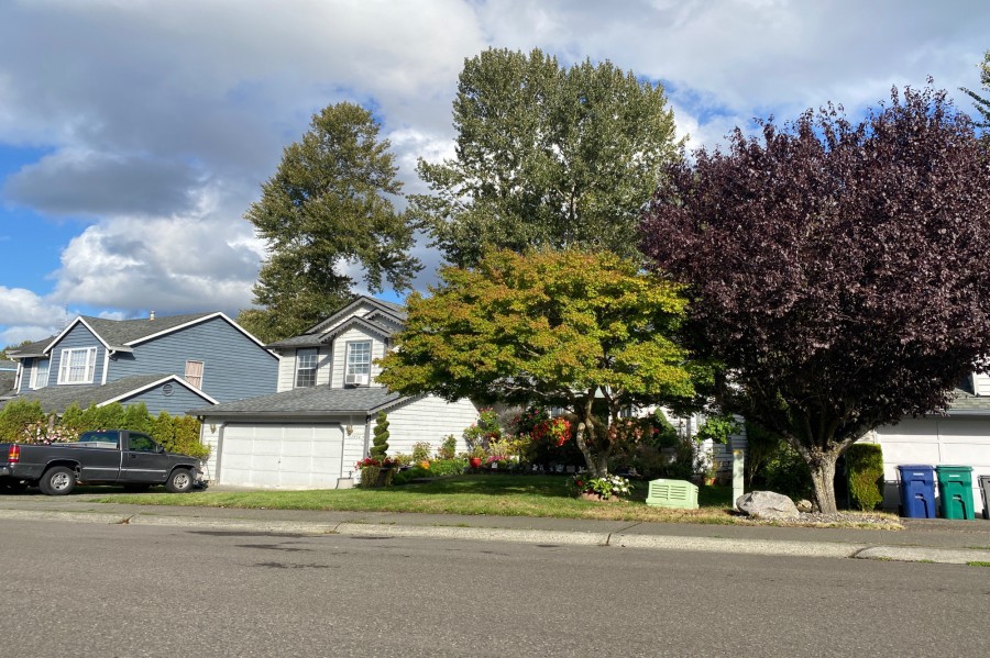 17th Ave, Federal Way, WA 98023 #1
