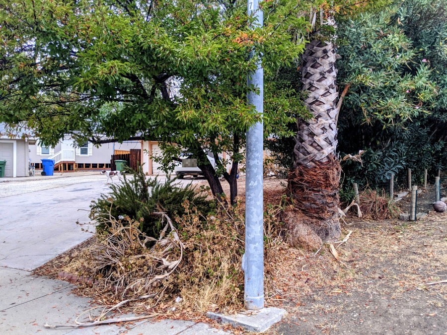 Mesquite Ct, Brentwood, CA 94513 #1