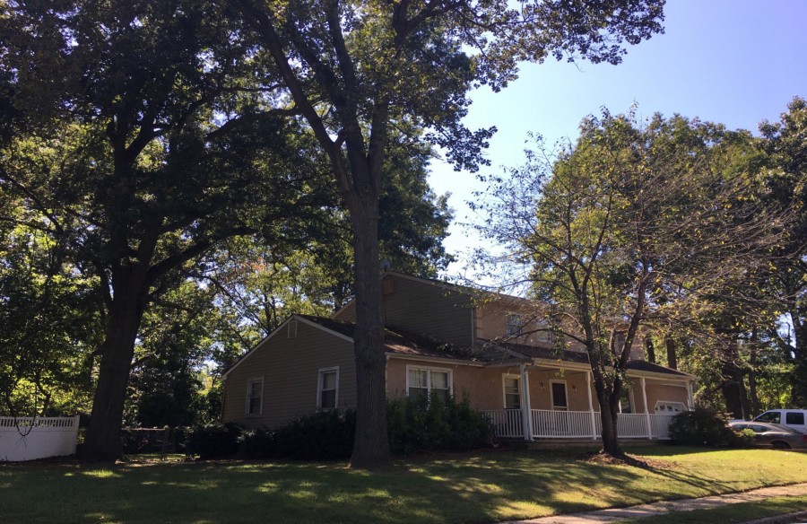 Family Ln, Woodbury, NJ 08096 #1