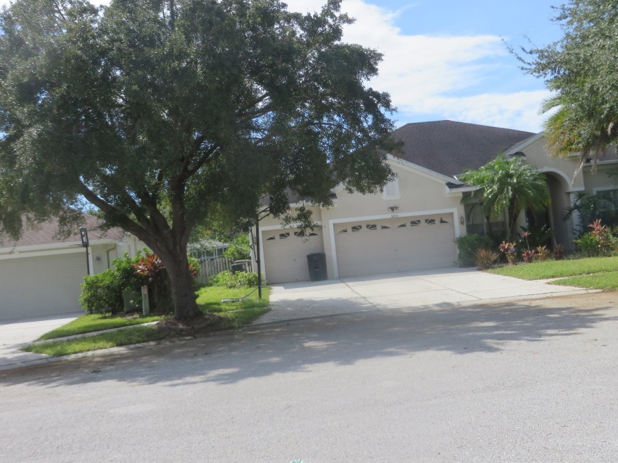 Hanging Vine Ct, Land O Lakes, FL 34639 #1
