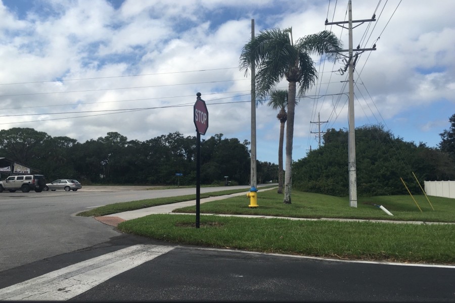 19th St, Ruskin, FL 33570 #1