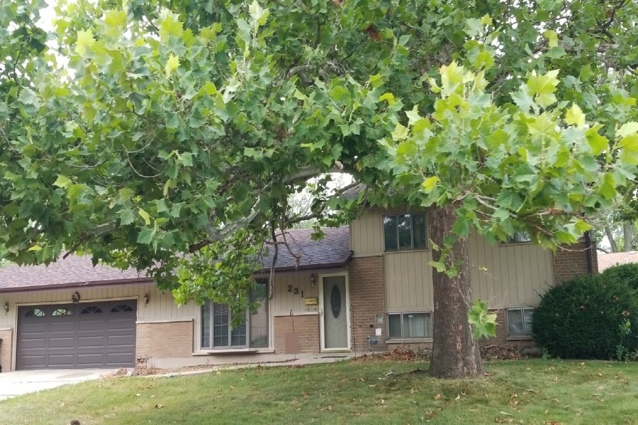 Farragut St, Park Forest, IL 60466