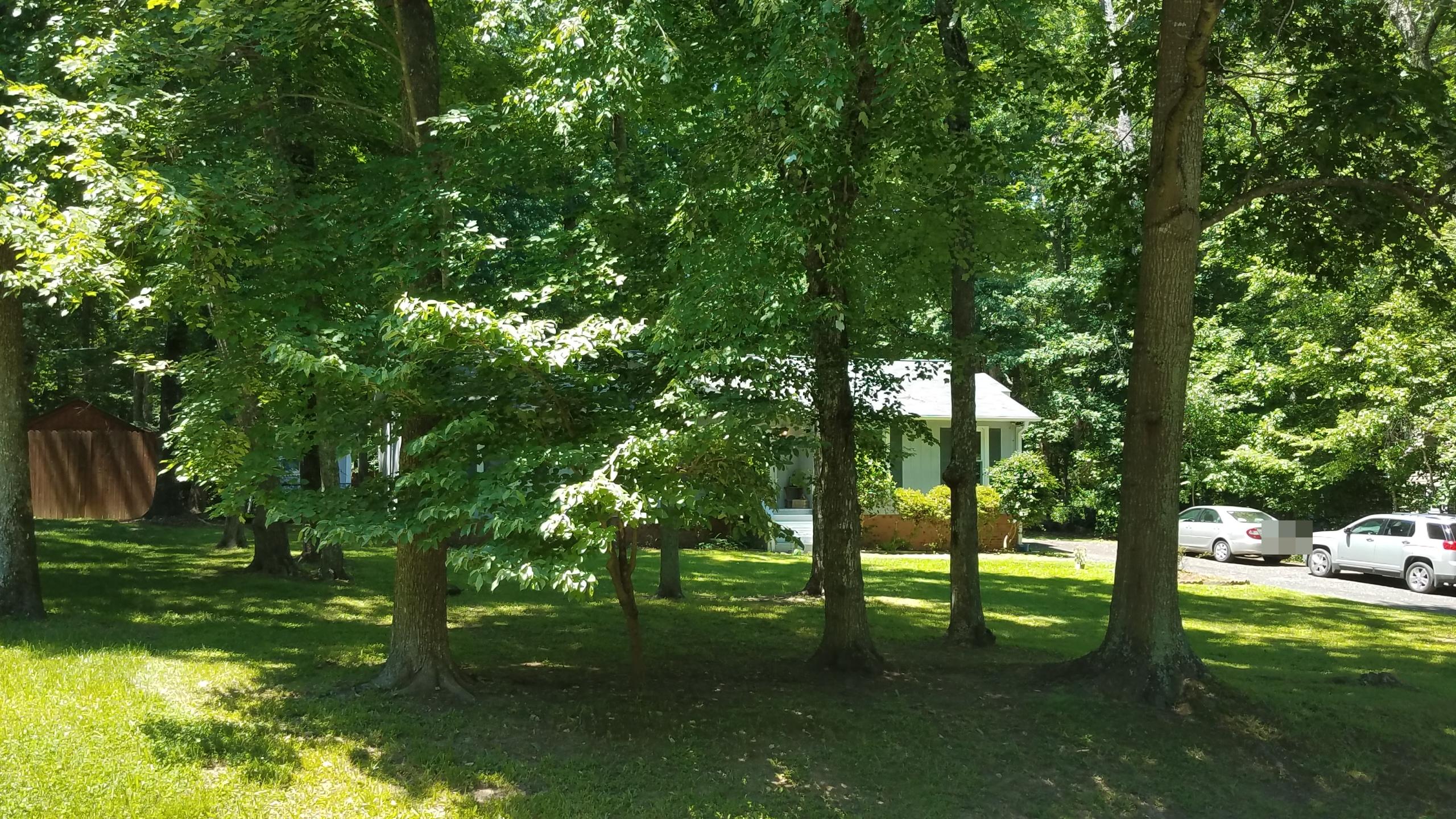 Royal Oaks Dr, Durham, NC 27712 #1