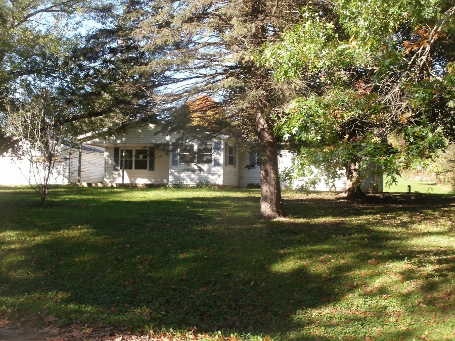 Sayles Rd, Ionia, MI 48846 #1