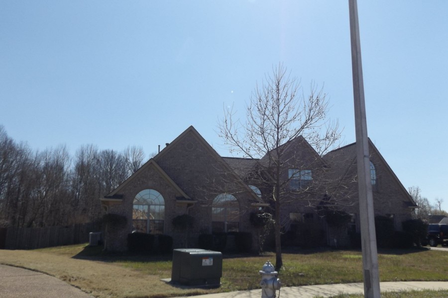 Logwood Cv, Bartlett, TN 38002