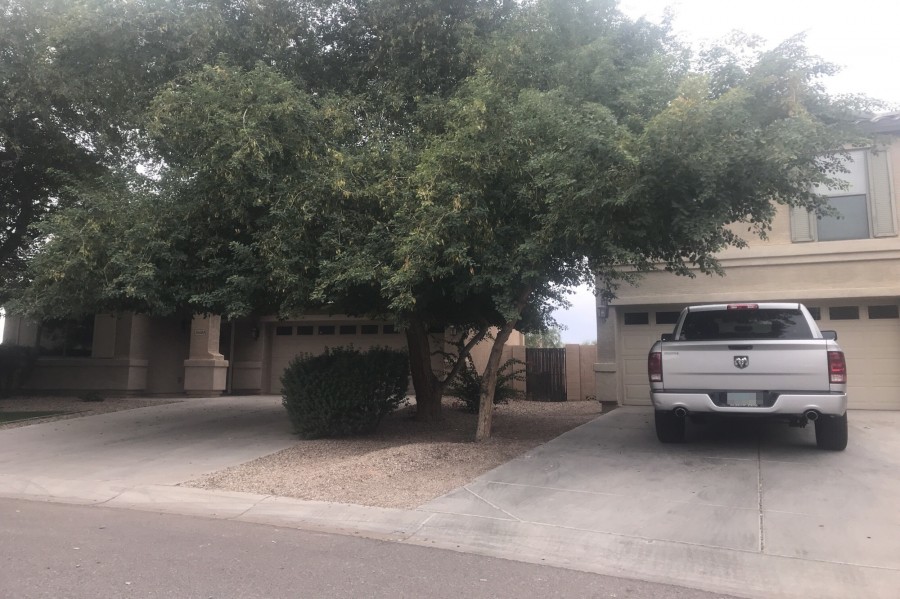 Murray Grey Dr, San Tan Valley, AZ 85143 #1