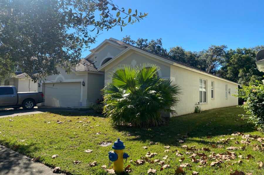 Bluff Meadow Ct, Wesley Chapel, FL 33545 #1