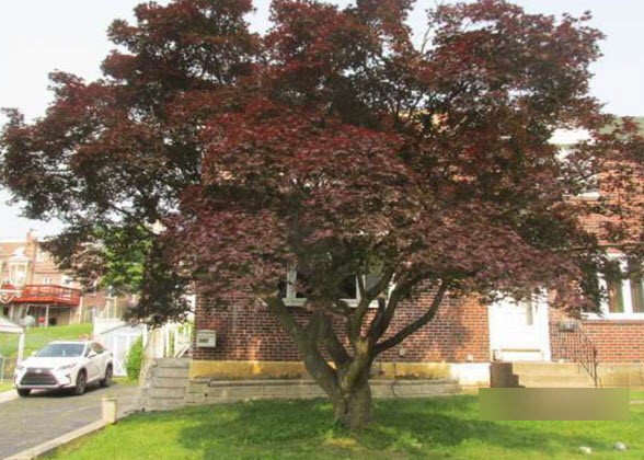 Greenwood Rd, Sharon Hill, PA 19079 #1