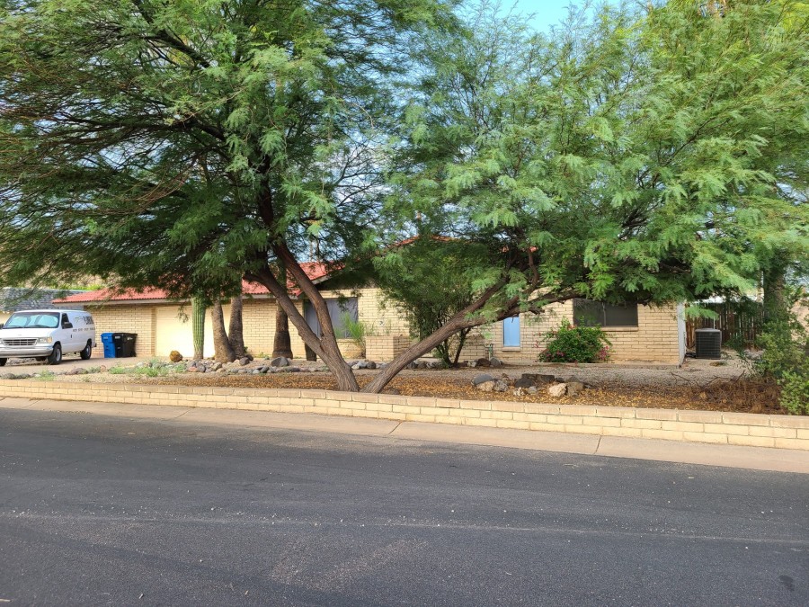 11th Ave, Phoenix, AZ 85029 #1