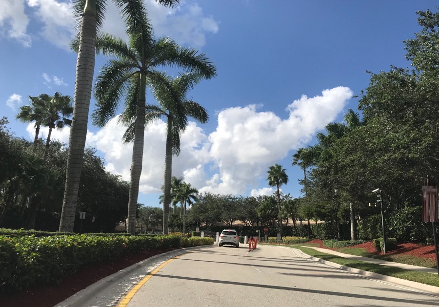 Tree Top Dr, Weston, FL 33332