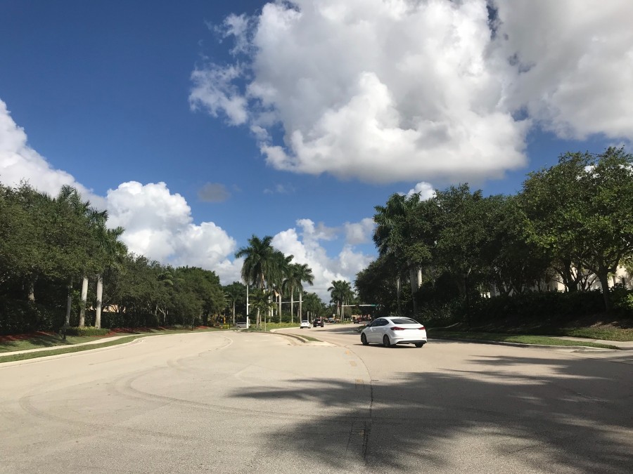 Tree Top Dr, Weston, FL 33332 #1