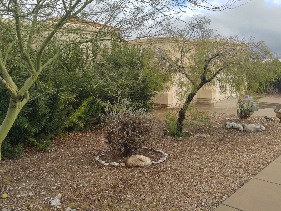 Crescent Hill Pl, Tucson, AZ 85718 #1