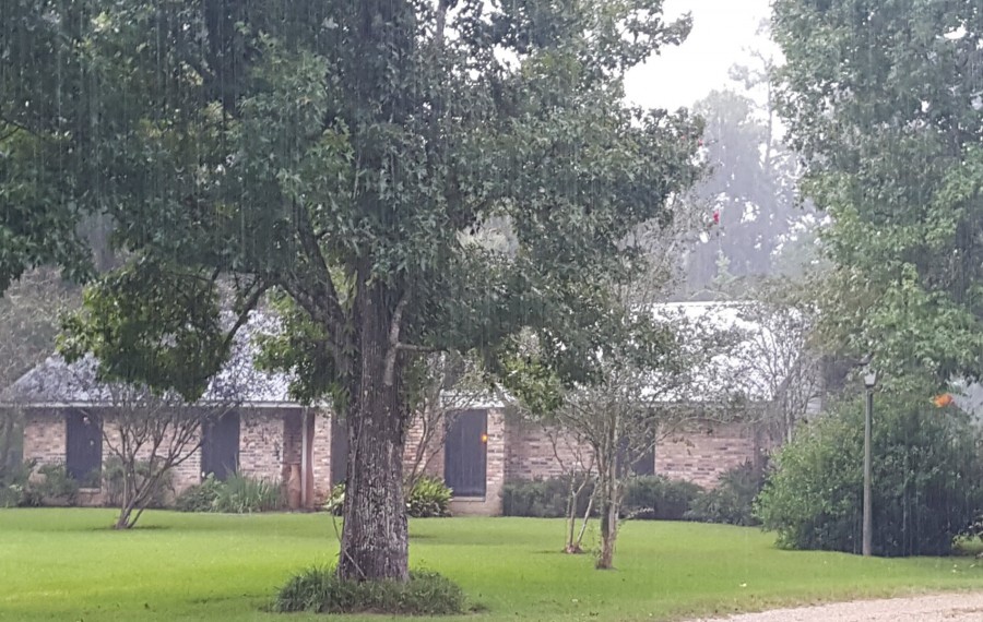 Johnson Rd, Denham Springs, LA 70726 #1