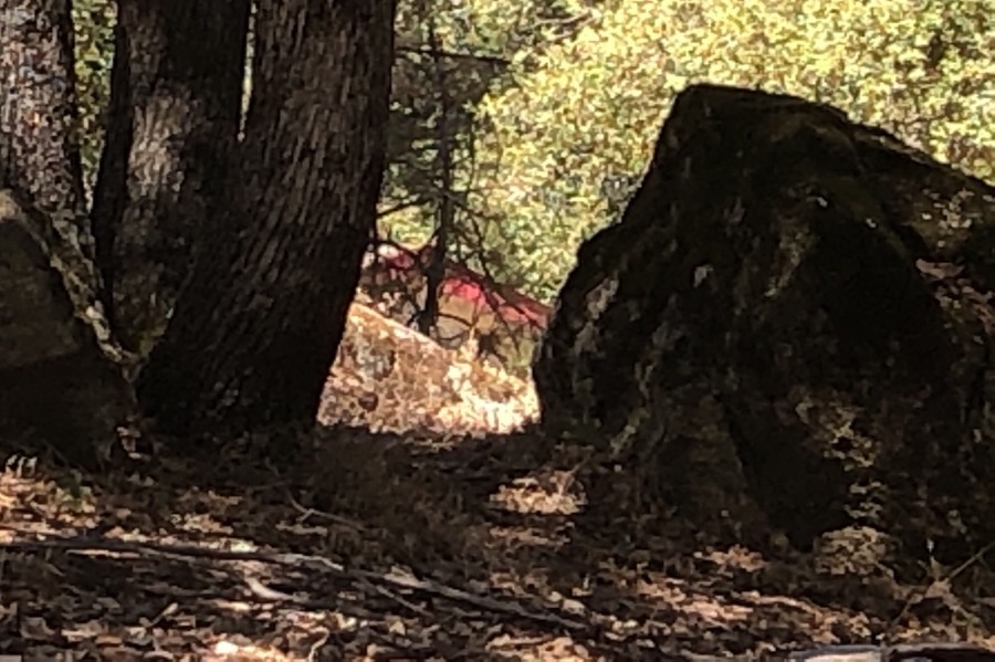 Whitmore Dr, Mariposa, CA 95338