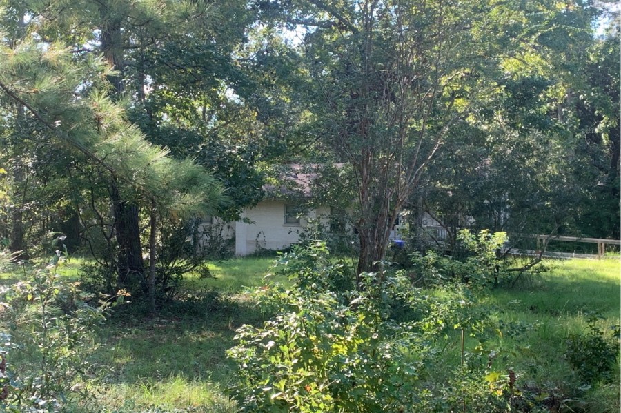 Joseph Glover Rd, Mount Pleasant, SC 29466