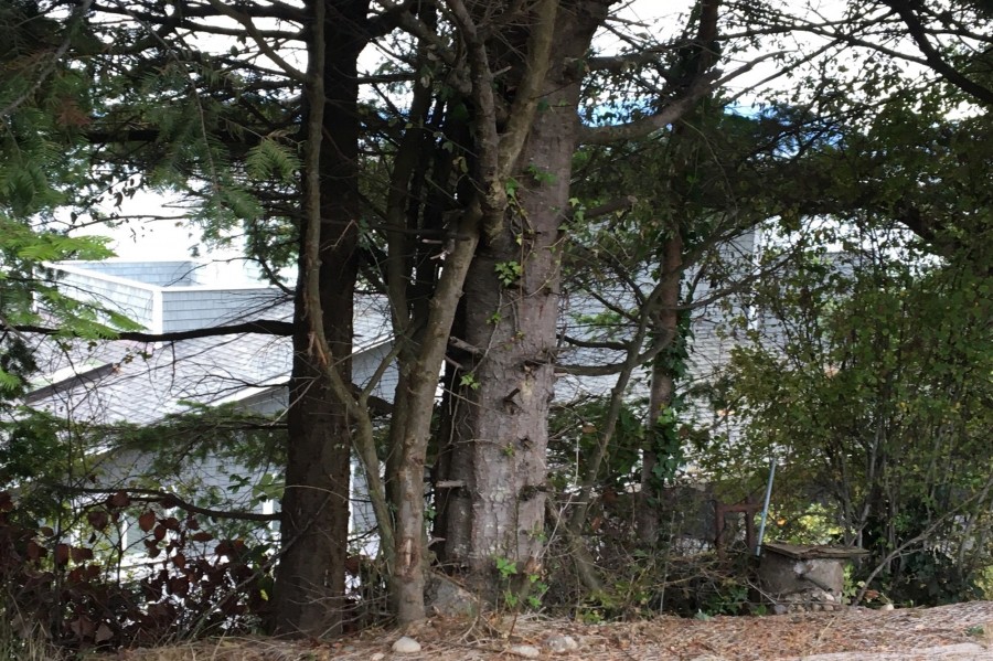 Puget Way, Anacortes, WA 98221 #1