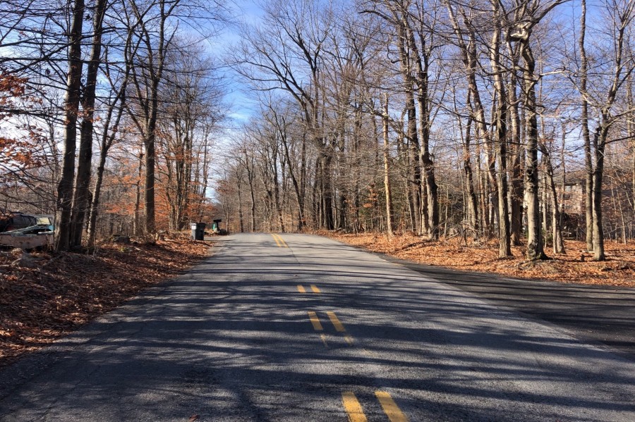 Bumble Bee Way, Tobyhanna, PA 18466 #1