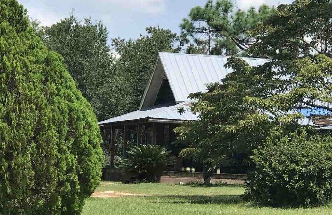 Herring Buckhole Rd, Donalsonville, GA 39845 #1