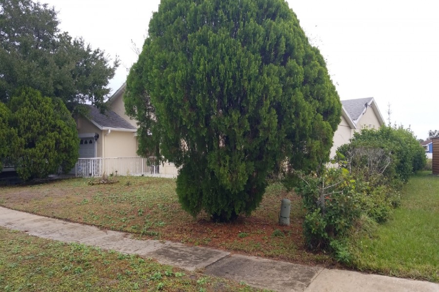 Sea Willow Dr, Kissimmee, FL 34743 #1