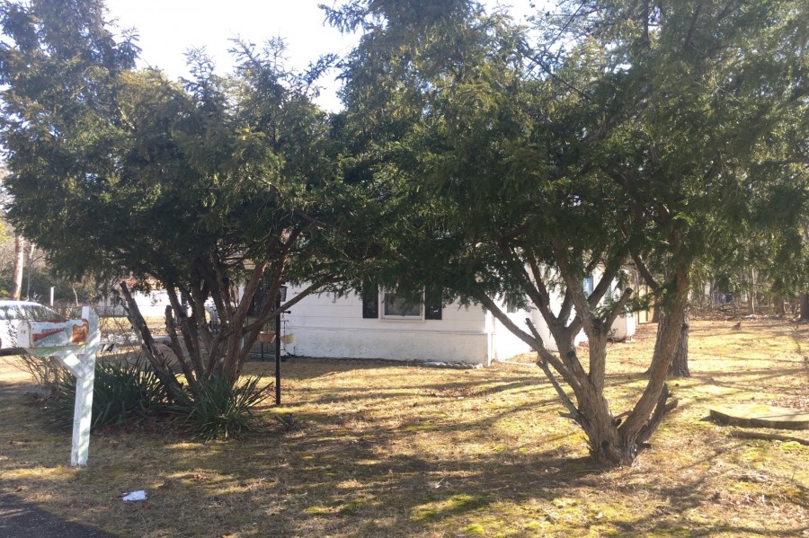 Mockingbird Ln, Browns Mills, NJ 08015 #1