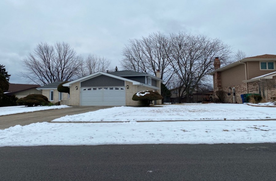 Palomino Ct, Homer Glen, IL 60491 #1