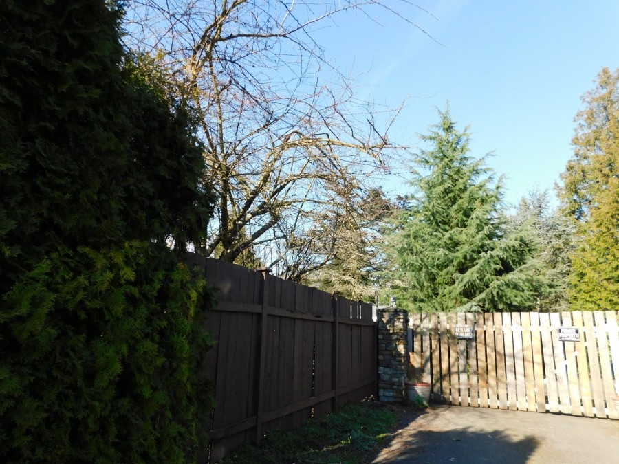 300th St, Federal Way, WA 98003 #1