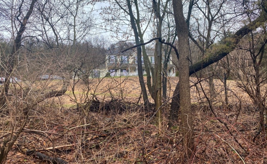 Good Springs Rd, Asbury, NJ 08802
