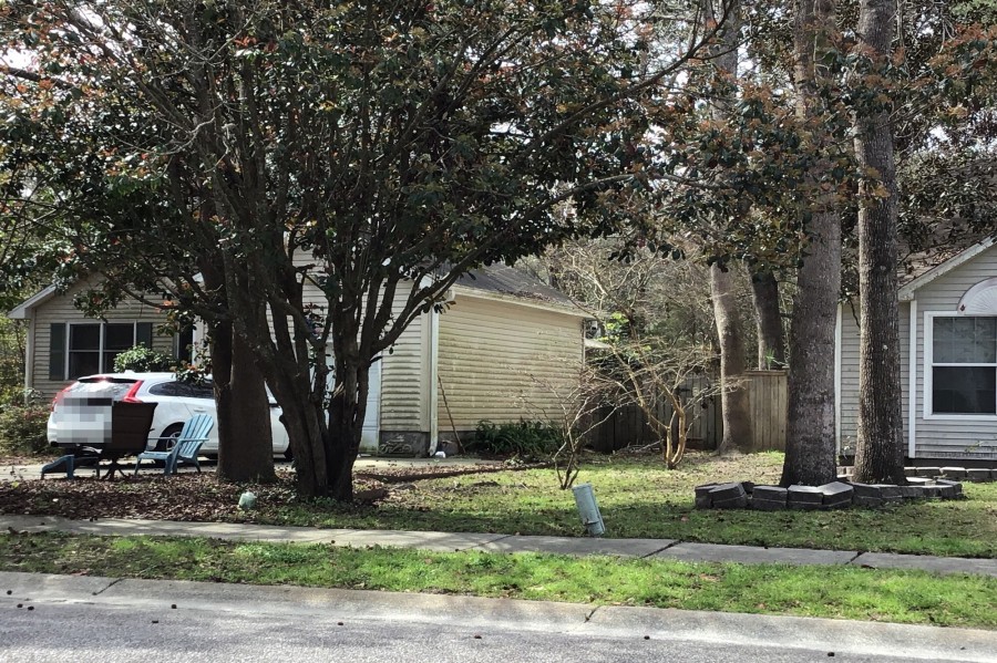 Walkers Ferry Pl, Johns Island, SC 29455 #1