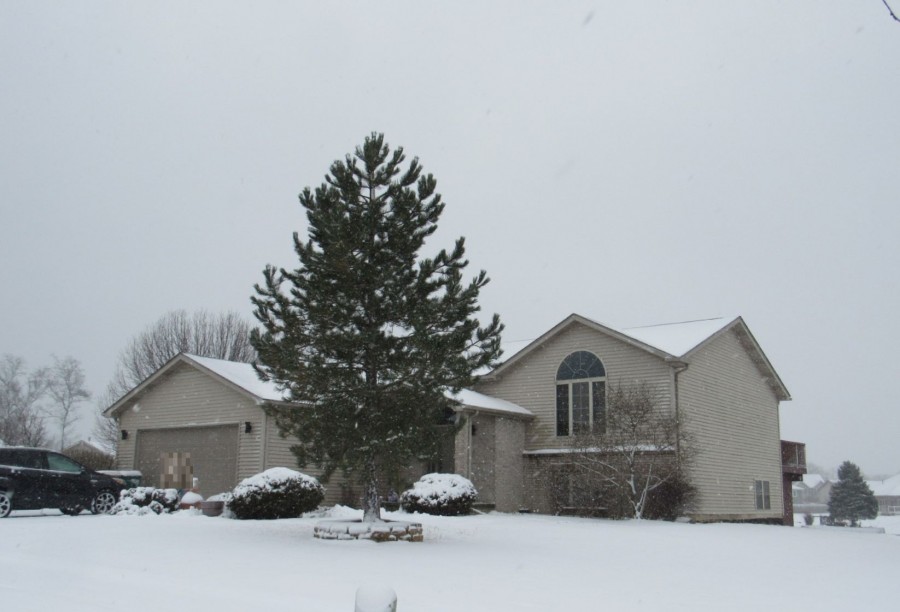 Buckridge Trl, Cedar Lake, IN 46303 #1