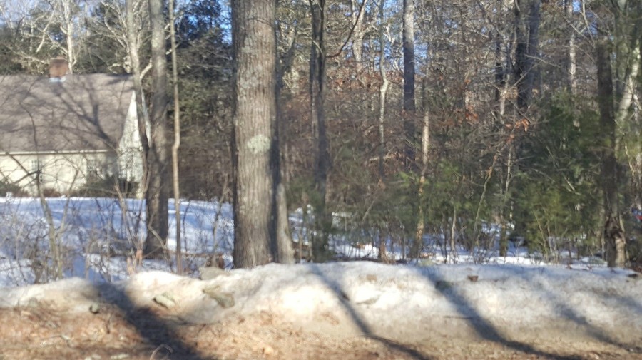 Old Turnpike Rd, Oakham, MA 01068 #1