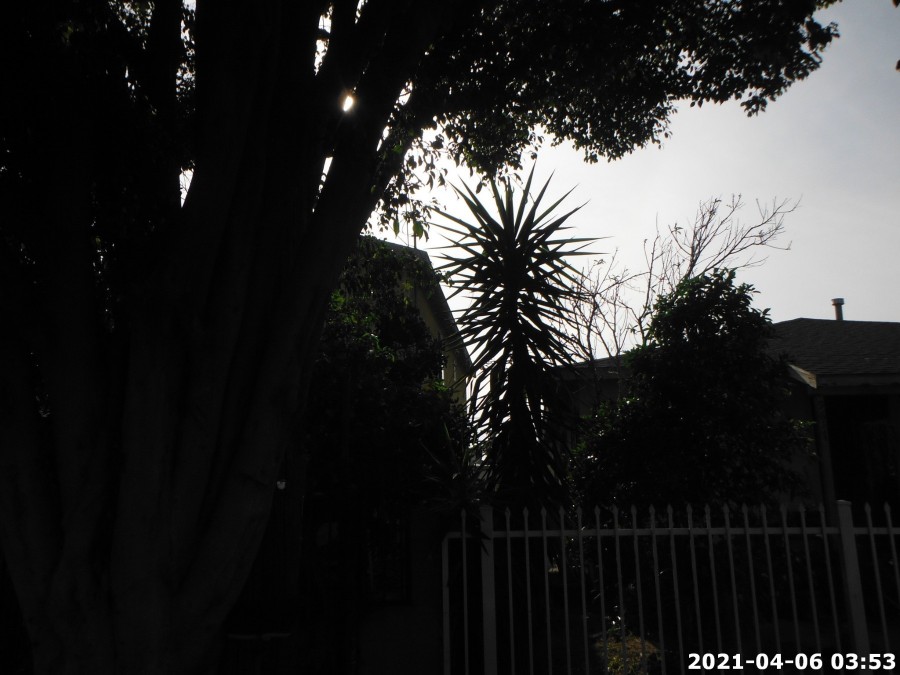 Beach St, Los Angeles, CA 90002 #1