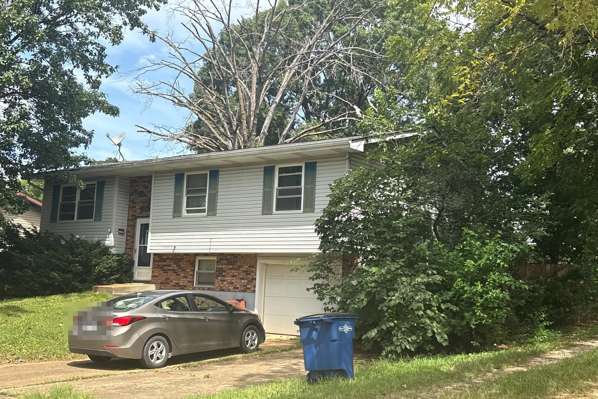 Walnut St, Desloge, MO 63601 #1