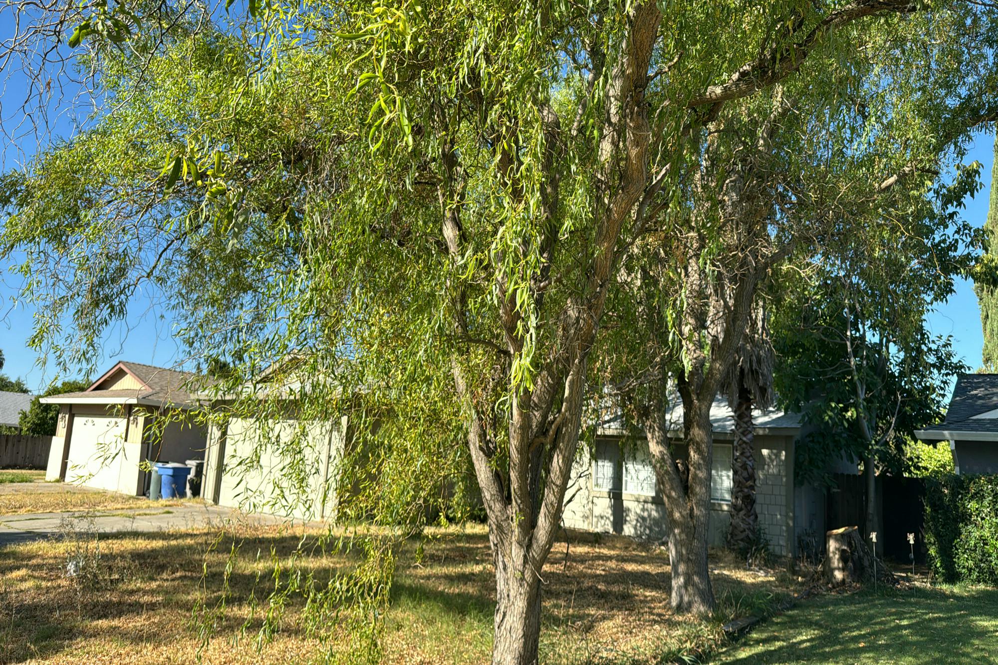 Charmette Way, Sacramento, CA 95823 #1