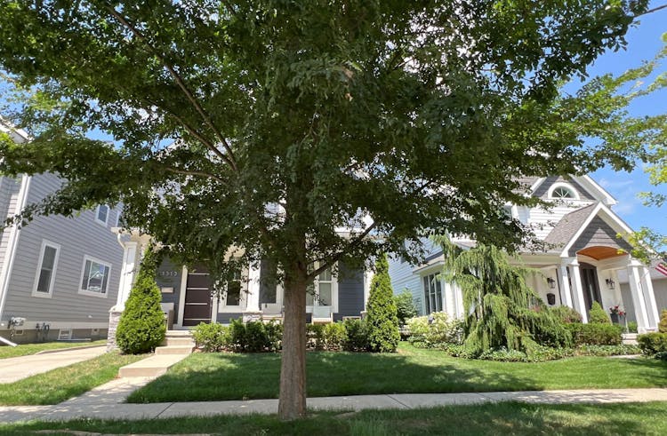 1315 Cole Ave Birmingham, MI 48009, Oakland County