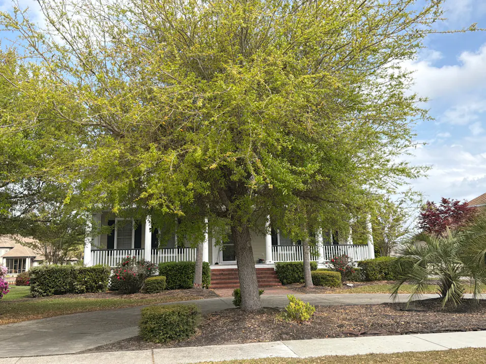 8136 Wacobee Drive Myrtle Beach, SC 29579, Horry County