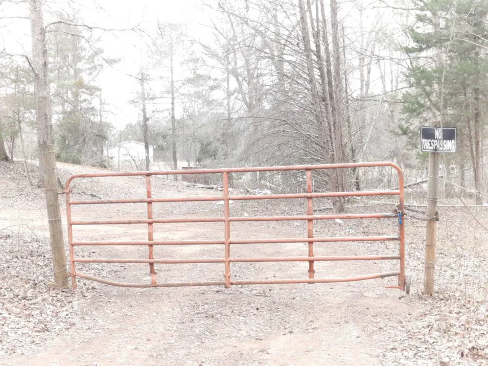 3655 Brownlee Rd Forsyth, GA 31029, Monroe County