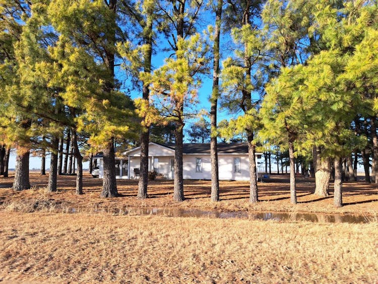 435 County Road 553 Rector, AR 72461, Clay County