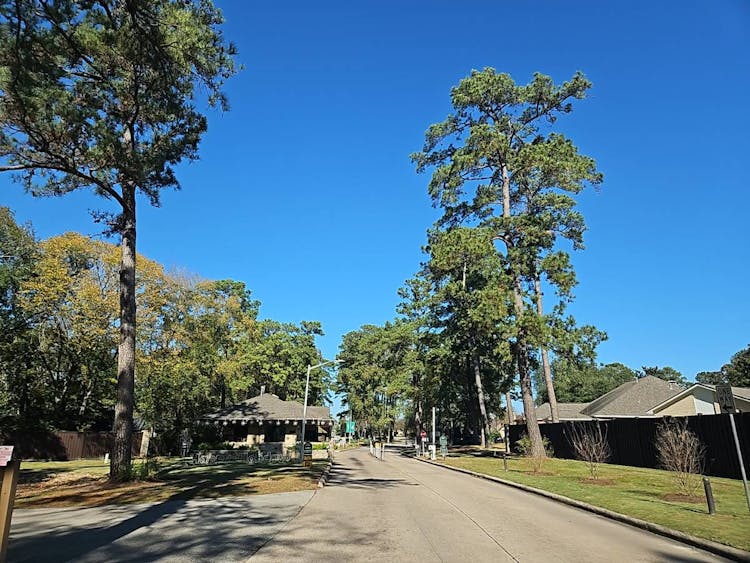 216 Lake View Circle Montgomery, TX 77356, Montgomery County