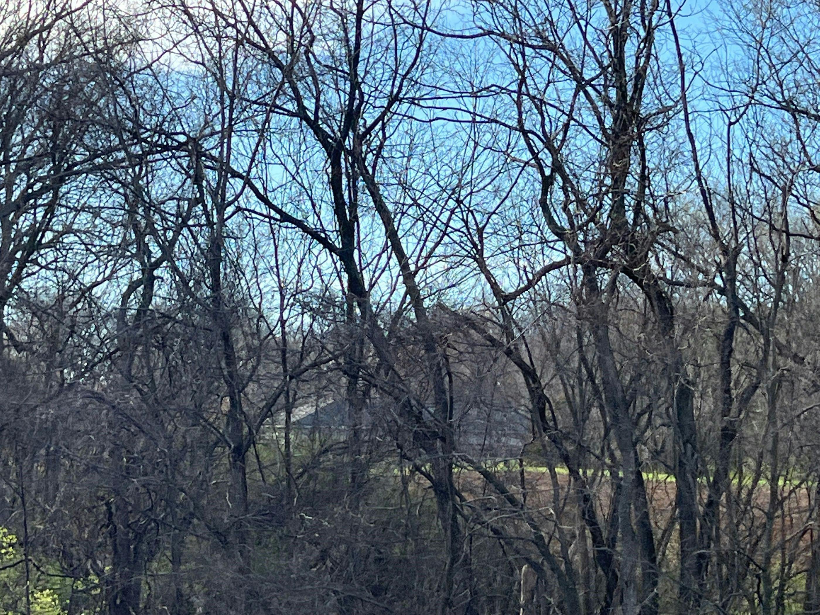 Wetzler Rd, Fults, IL 62244 #1