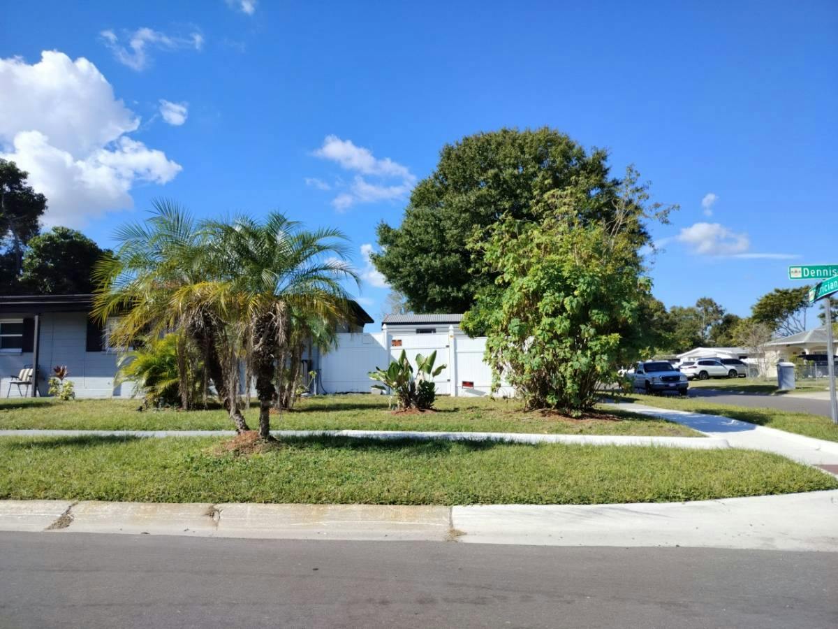 Dennison Dr, Tampa, FL 33619 #1