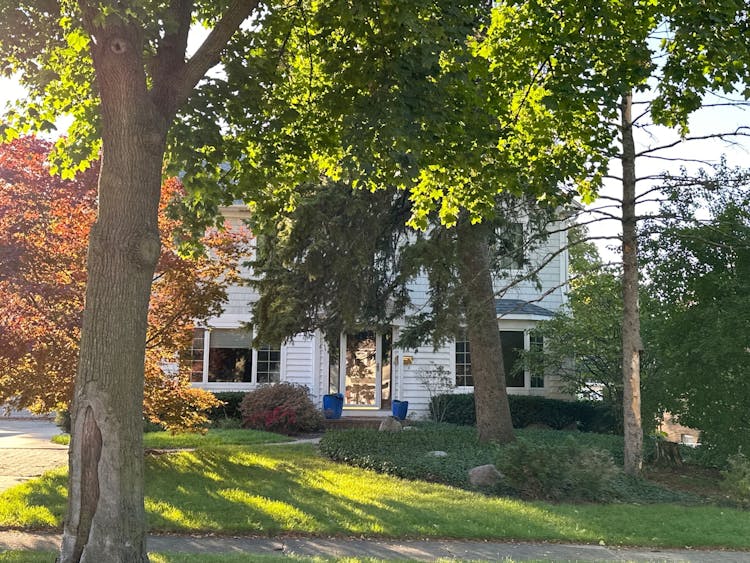 918 North Cross Street Wheaton, IL 60187, Dupage County