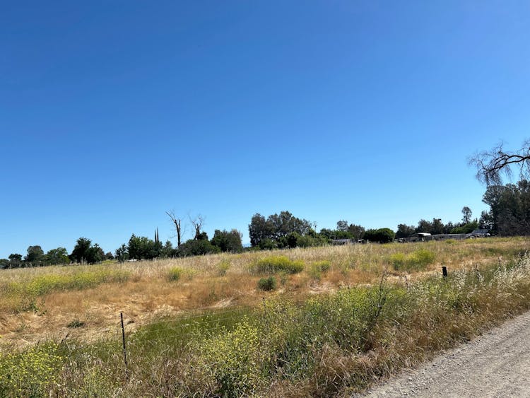 4759 County Road Dd Orland, CA 95963, Glenn County