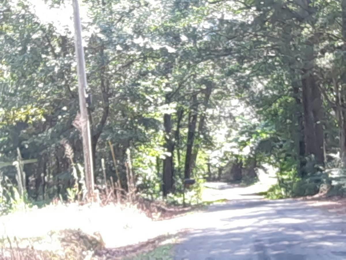 Zellner Rd, Culloden, GA 31016